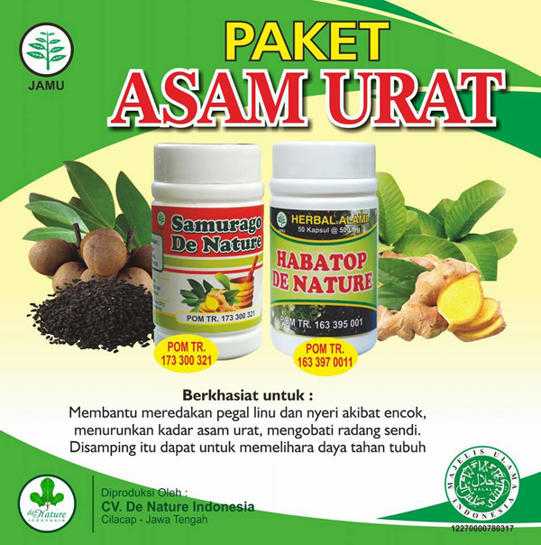 Obat Rematik dan Asam Urat